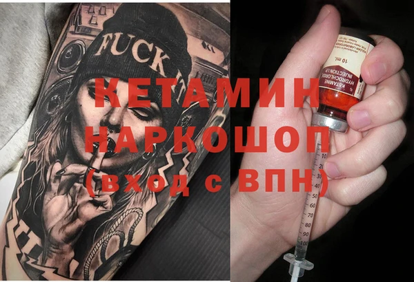 крисы Алексин