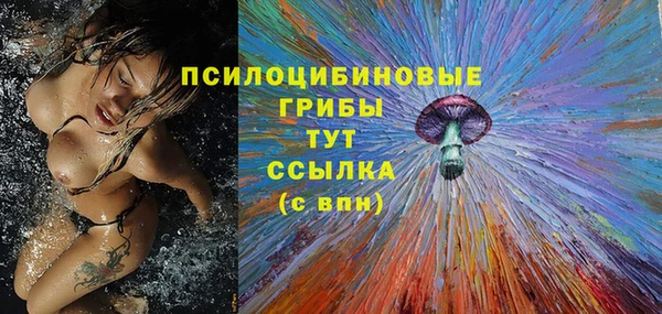 крисы Алексин