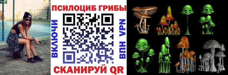 Купить где  Новотитаровская  Галлюциногенные грибы Psilocybine cubensis 