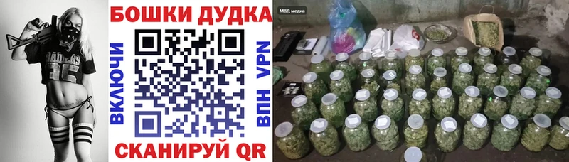 Шишки марихуана THC 21%  Купить где  Новотитаровская 